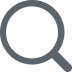 icon search