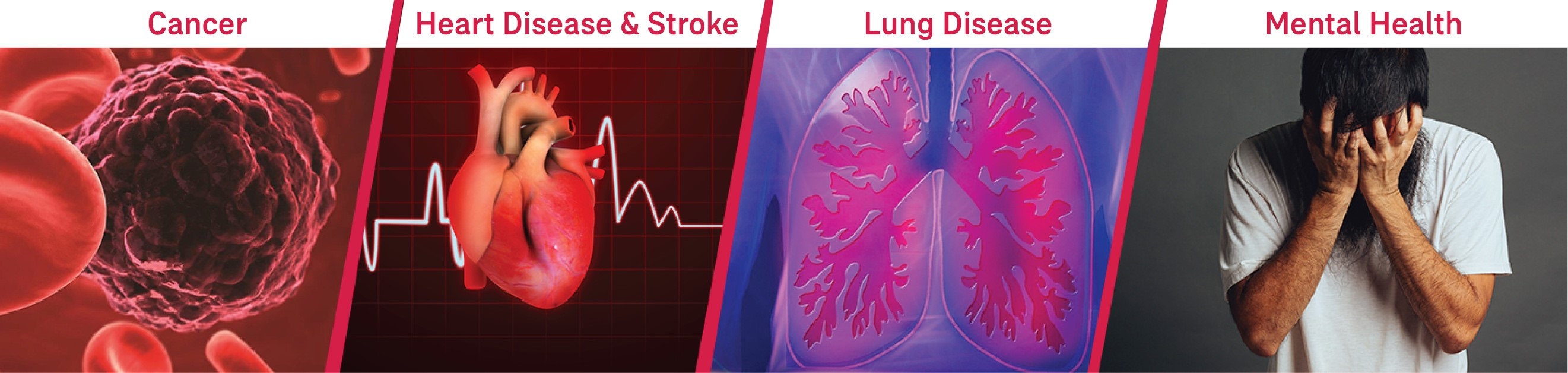 What Happens to Your Health When You Smoke?