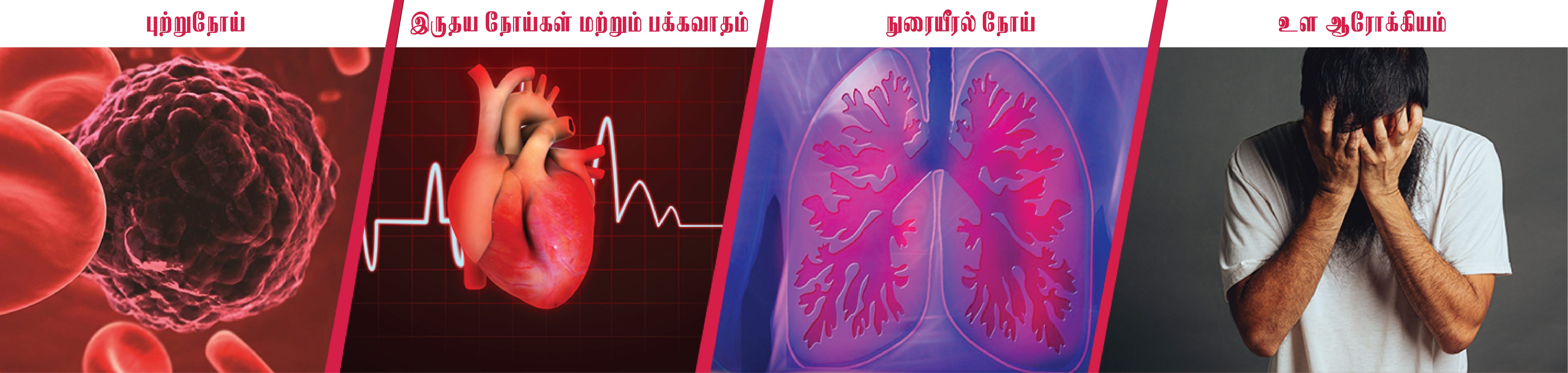 What Happens to Your Health When You Smoke?